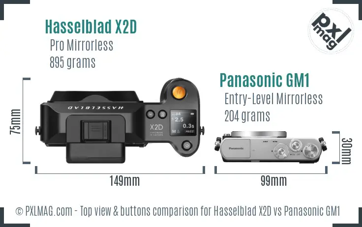 Hasselblad X2D vs Panasonic GM1 top view buttons comparison