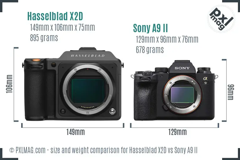 Hasselblad X2D vs Sony A9 II size comparison