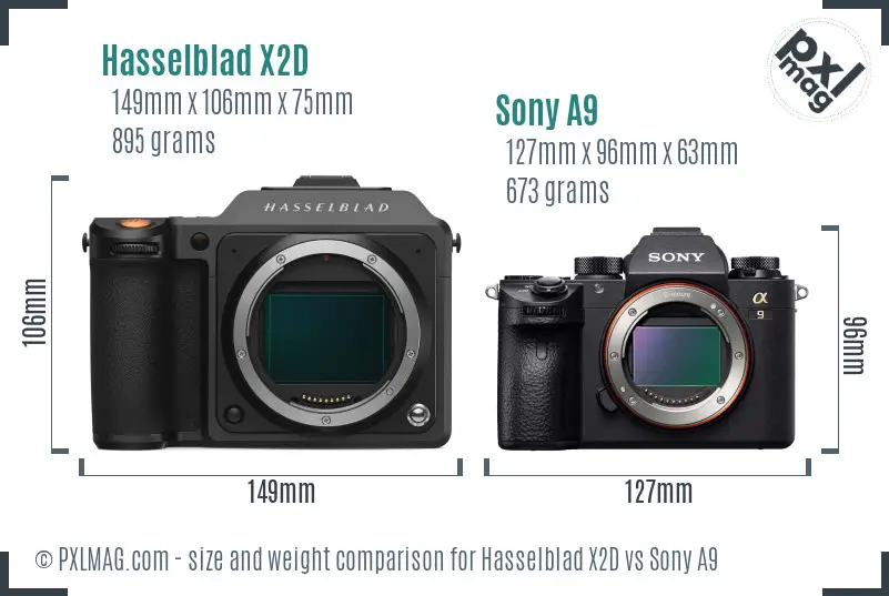 Hasselblad X2D vs Sony A9 size comparison