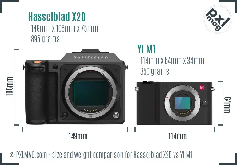 Hasselblad X2D vs YI M1 size comparison