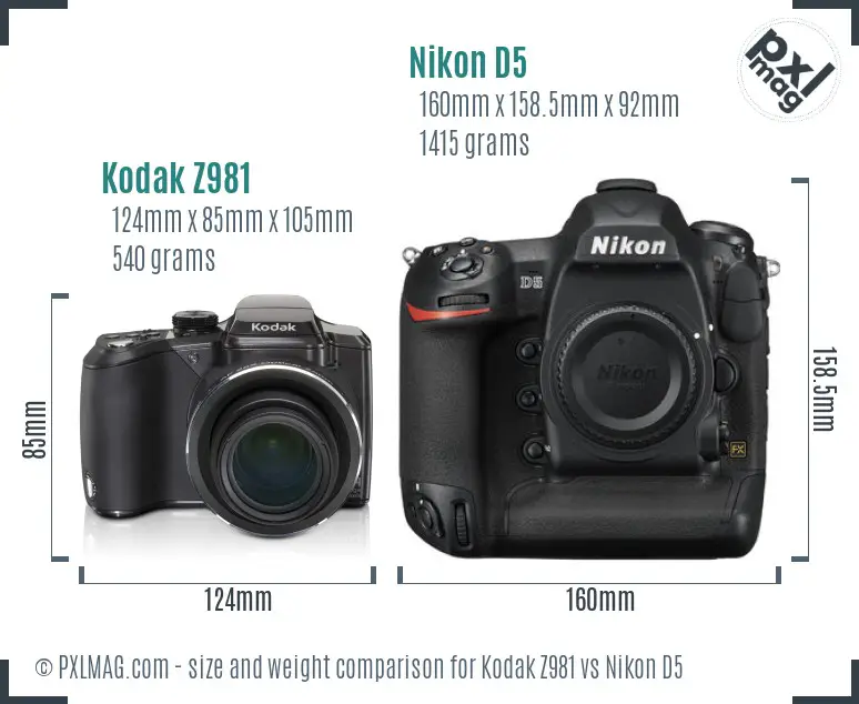 Kodak Z981 vs Nikon D5 size comparison