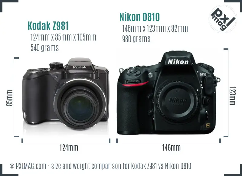 Kodak Z981 vs Nikon D810 size comparison