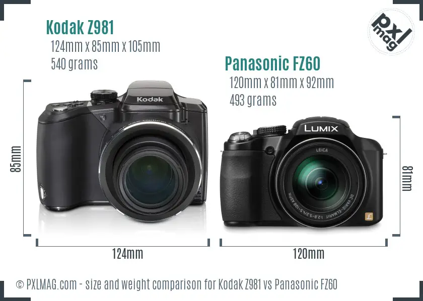 Kodak Z981 vs Panasonic FZ60 size comparison