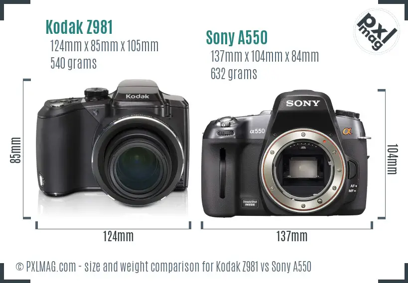 Kodak Z981 vs Sony A550 size comparison