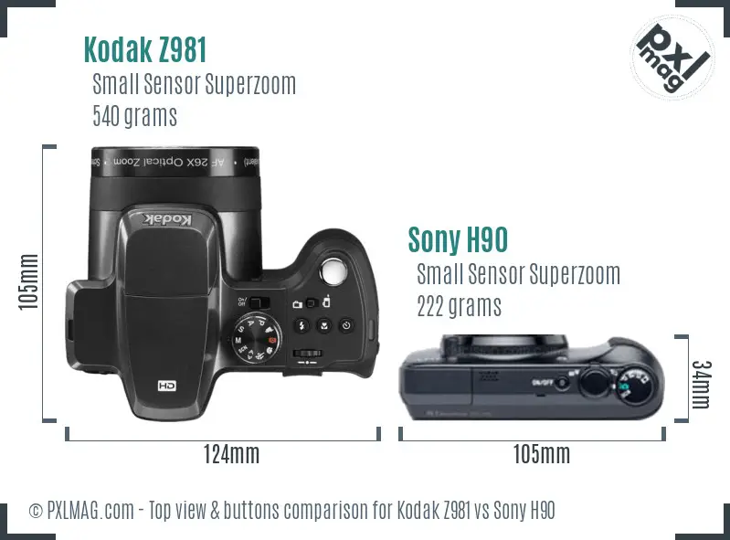 Kodak Z981 vs Sony H90 top view buttons comparison