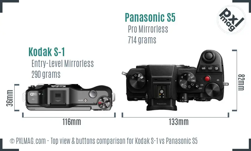 Kodak S-1 vs Panasonic S5 top view buttons comparison