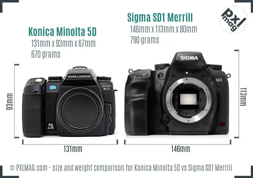 Konica Minolta 5D vs Sigma SD1 Merrill size comparison