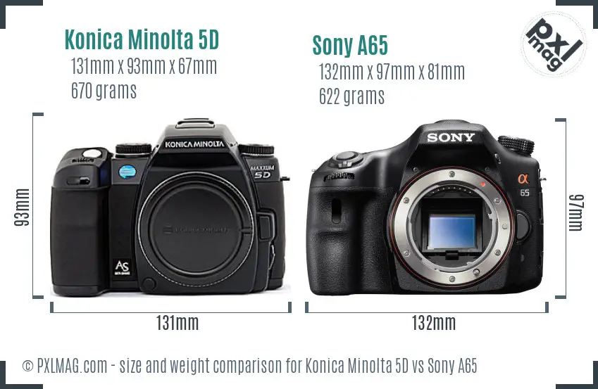 Konica Minolta 5D vs Sony A65 size comparison