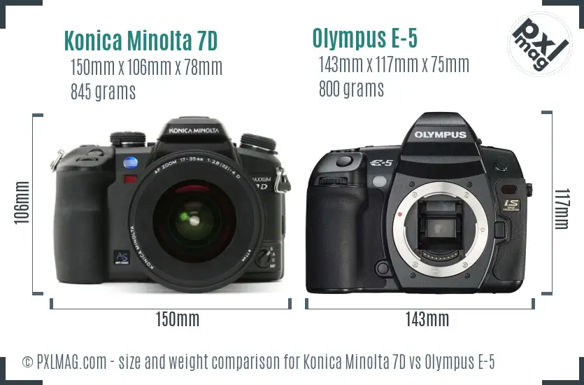 Konica Minolta 7D vs Olympus E-5 size comparison