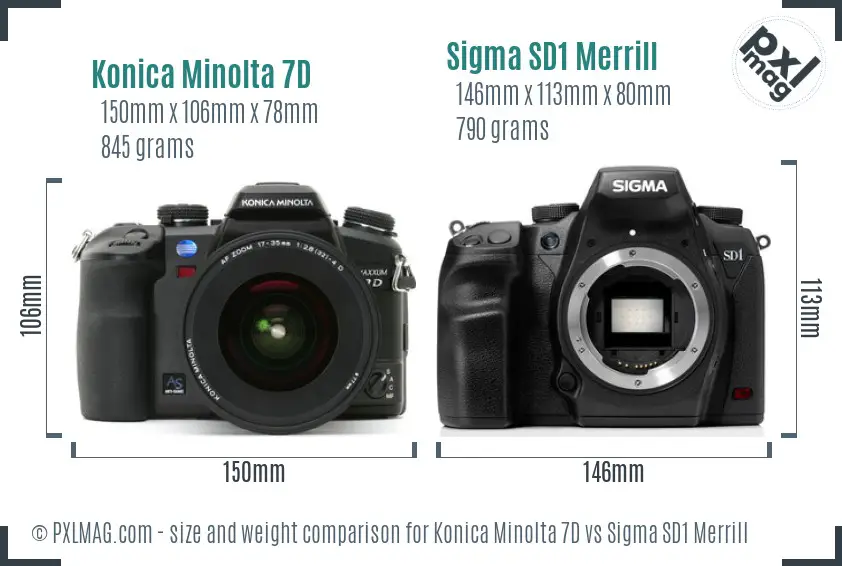 Konica Minolta 7D vs Sigma SD1 Merrill size comparison