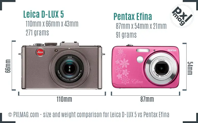 Leica D-LUX 5 vs Pentax Efina size comparison