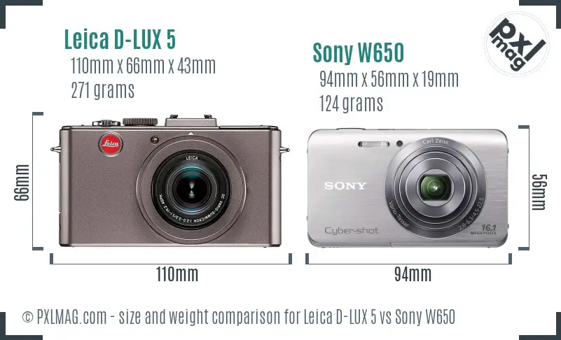 Leica D-LUX 5 vs Sony W650 size comparison
