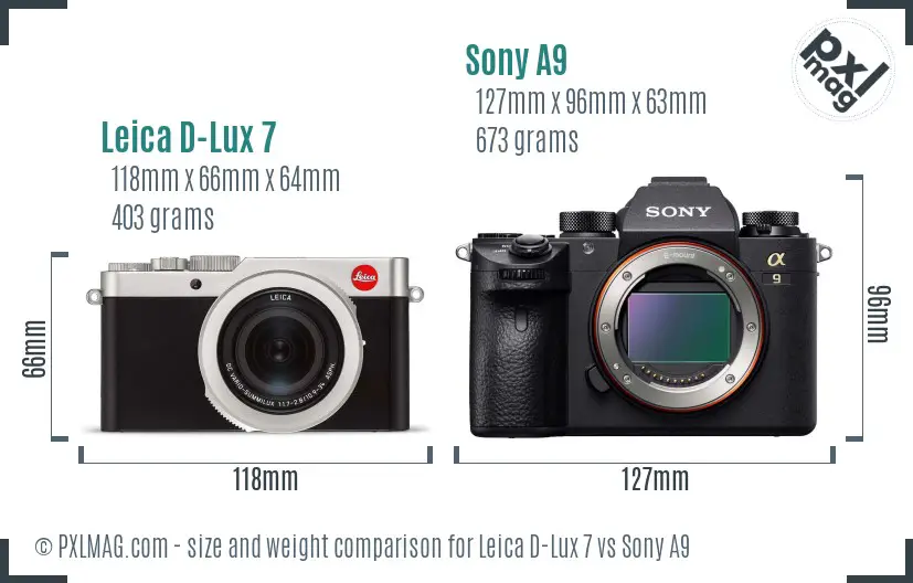 Leica D-Lux 7 vs Sony A9 size comparison