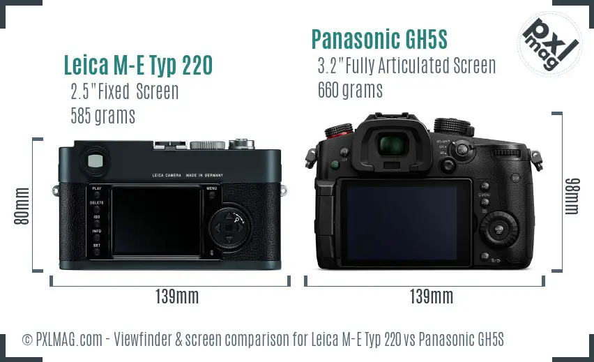 Leica M-E Typ 220 vs Panasonic GH5S Screen and Viewfinder comparison