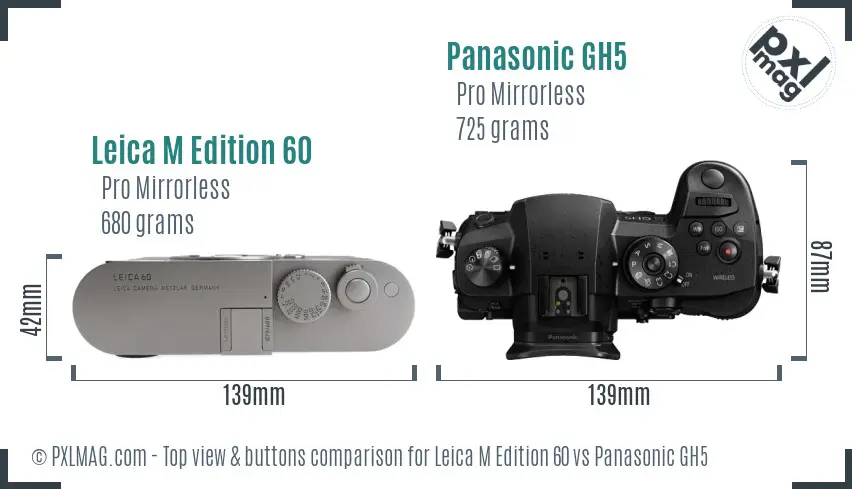 Leica M Edition 60 vs Panasonic GH5 top view buttons comparison