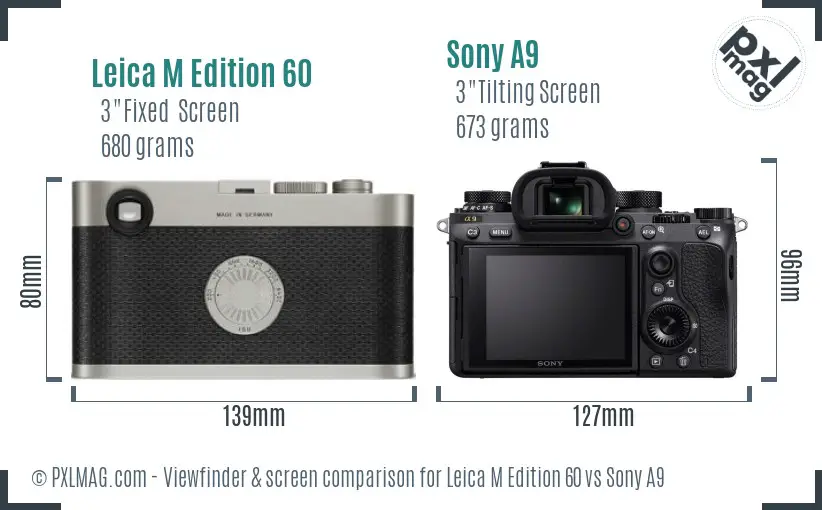 Leica M Edition 60 vs Sony A9 Screen and Viewfinder comparison