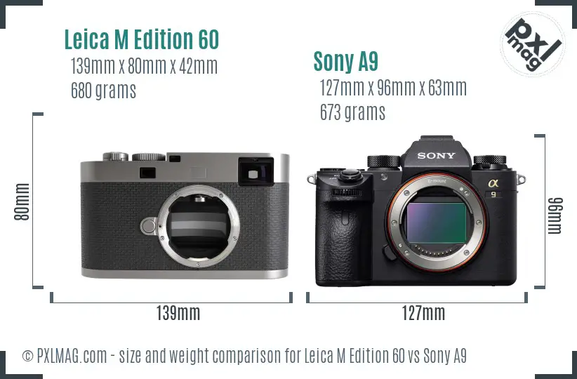 Leica M Edition 60 vs Sony A9 size comparison