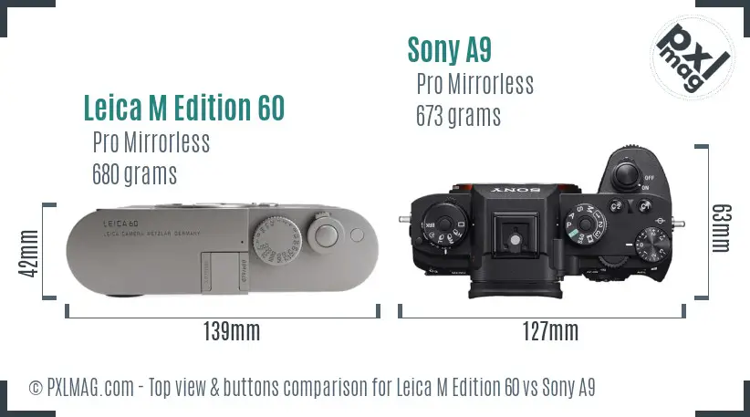 Leica M Edition 60 vs Sony A9 top view buttons comparison