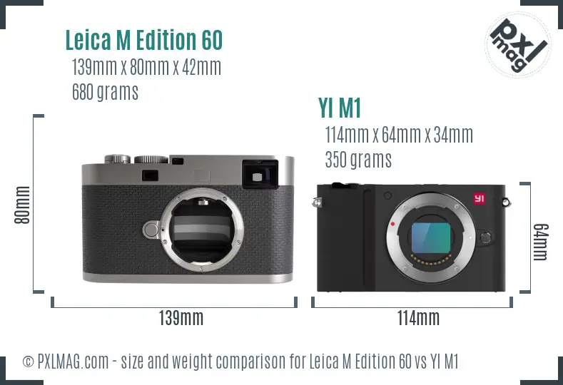 Leica M Edition 60 vs YI M1 size comparison