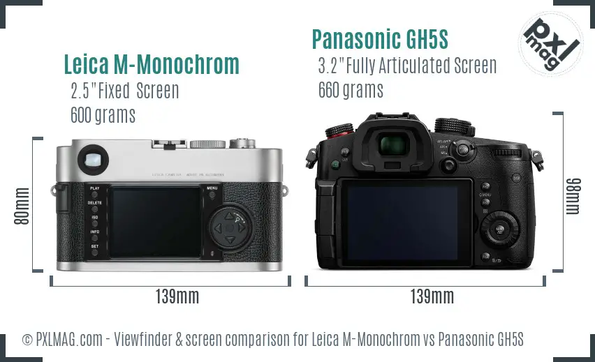 Leica M-Monochrom vs Panasonic GH5S Screen and Viewfinder comparison