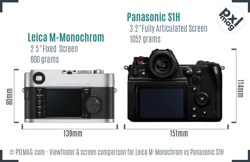Leica M-Monochrom vs Panasonic S1H Screen and Viewfinder comparison