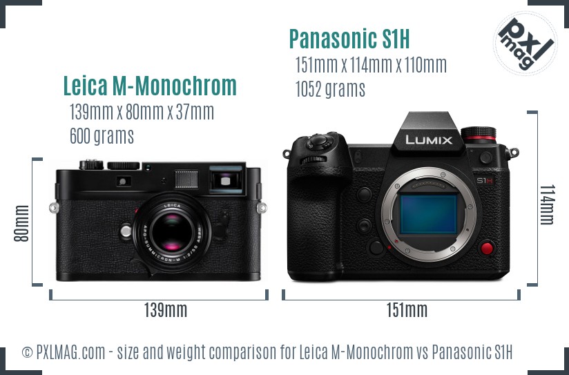 Leica M-Monochrom vs Panasonic S1H size comparison