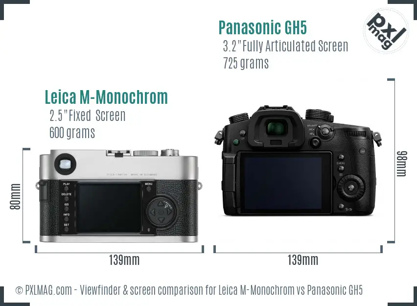 Leica M-Monochrom Panasonic GH5 Detailed Comparison - PXLMAG.com