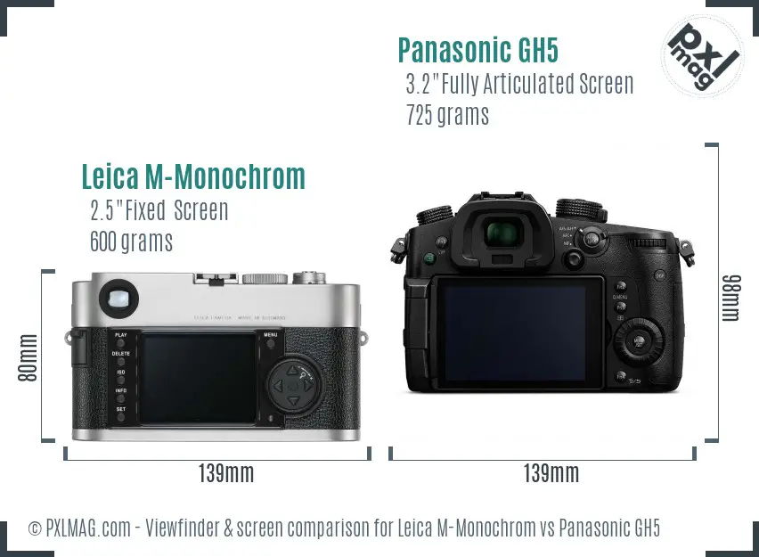 Leica M-Monochrom vs Panasonic GH5 Screen and Viewfinder comparison