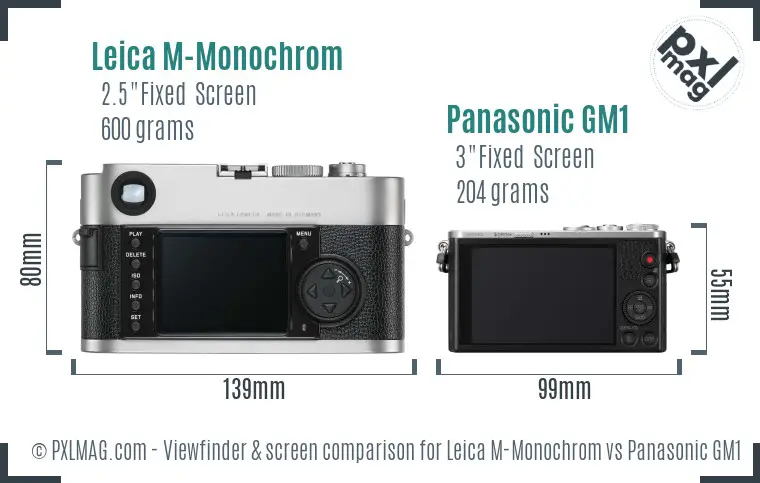 Leica M-Monochrom vs Panasonic GM1 Screen and Viewfinder comparison