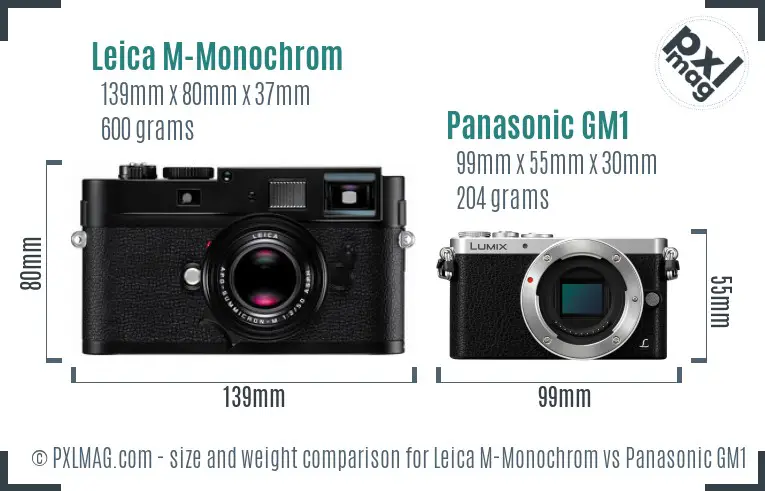 Leica M-Monochrom vs Panasonic GM1 size comparison