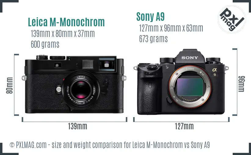 Leica M-Monochrom vs Sony A9 size comparison