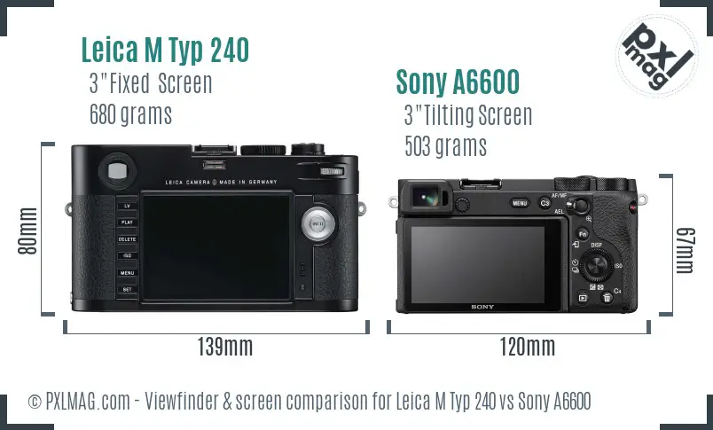 Leica M Typ 240 vs Sony A6600 Screen and Viewfinder comparison