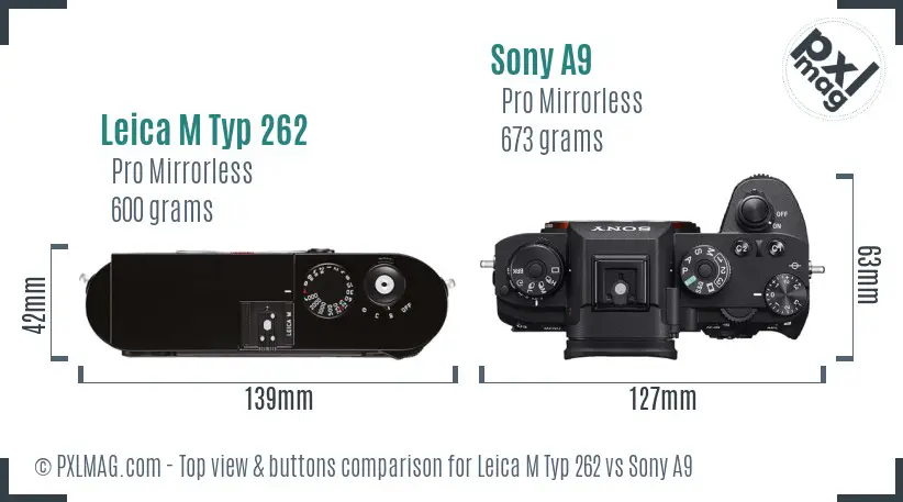 Leica M Typ 262 vs Sony A9 top view buttons comparison