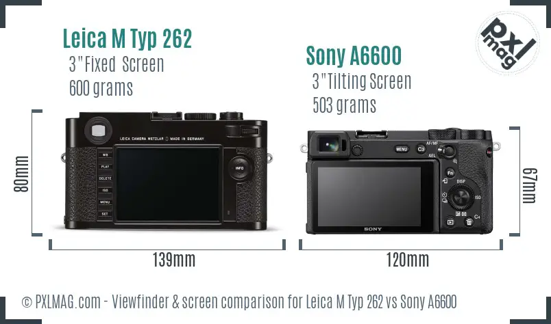 Leica M Typ 262 vs Sony A6600 Screen and Viewfinder comparison
