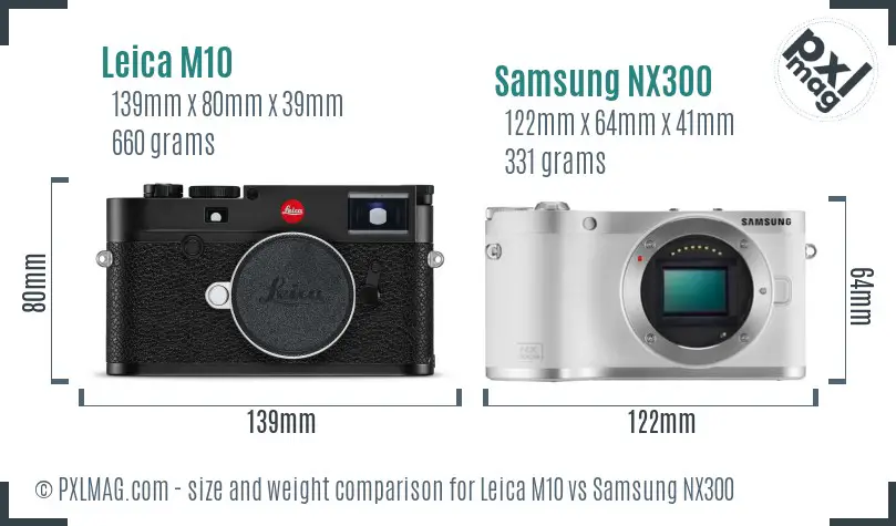Size Comparison