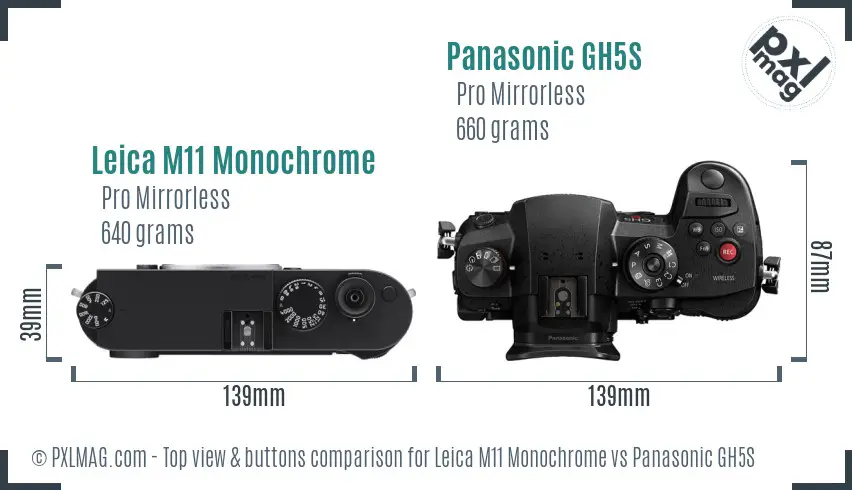 Leica M11 Monochrome vs Panasonic GH5S top view buttons comparison