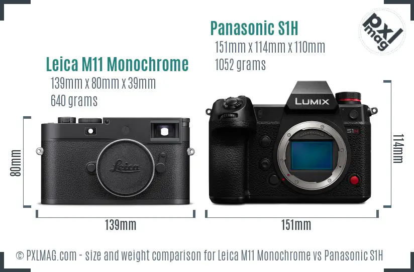 Leica M11 Monochrome vs Panasonic S1H size comparison
