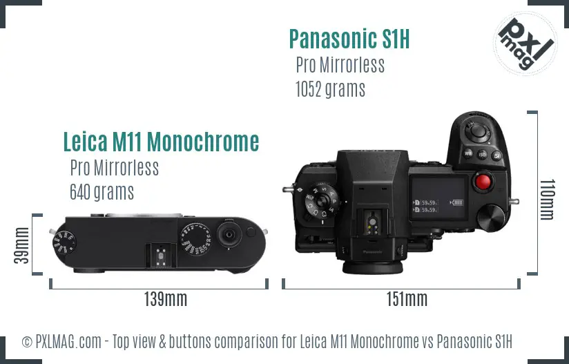 Leica M11 Monochrome vs Panasonic S1H top view buttons comparison