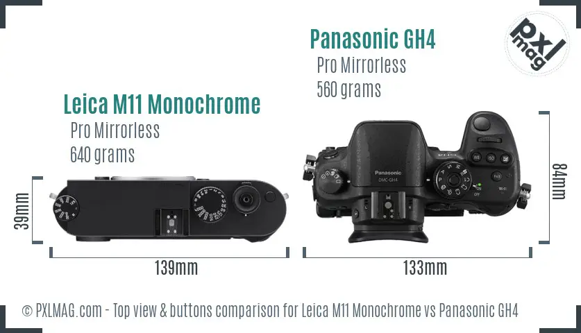 Leica M11 Monochrome vs Panasonic GH4 top view buttons comparison