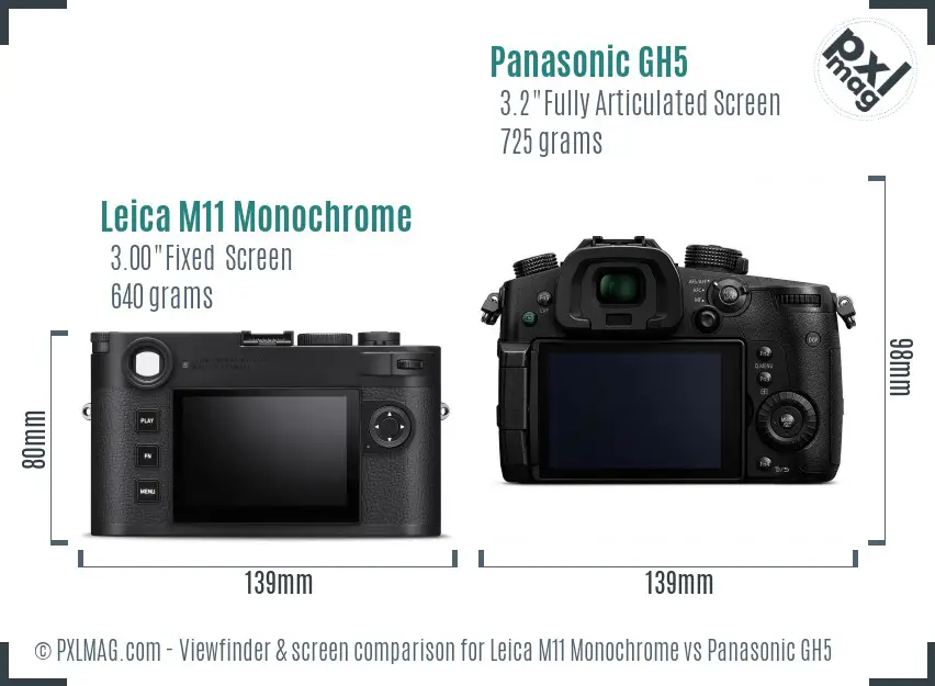 Leica M11 Monochrome vs Panasonic GH5 Screen and Viewfinder comparison