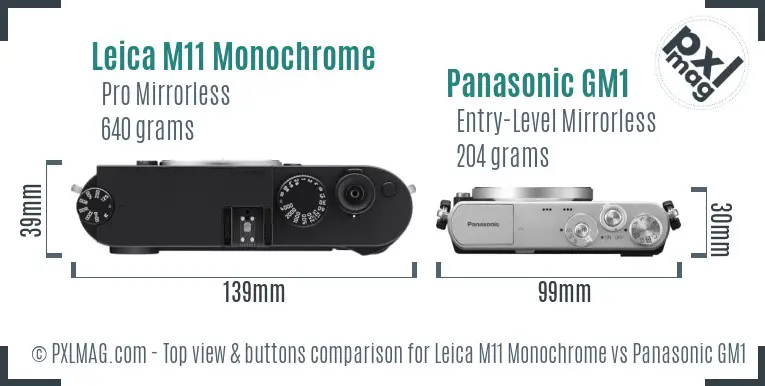 Leica M11 Monochrome vs Panasonic GM1 top view buttons comparison Leica M11 Monochrome vs Panasonic GM1 top view buttons comparison