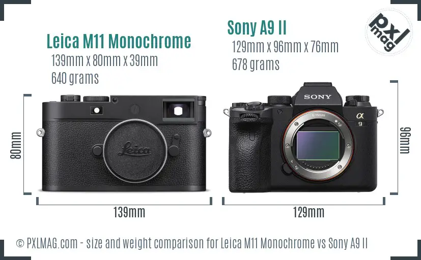 Leica M11 Monochrome vs Sony A9 II size comparison