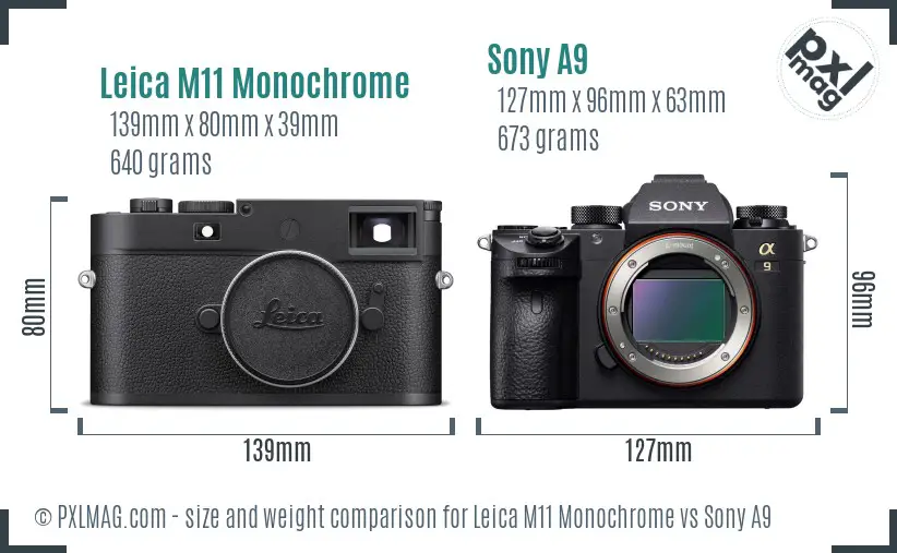 Leica M11 Monochrome vs Sony A9 size comparison