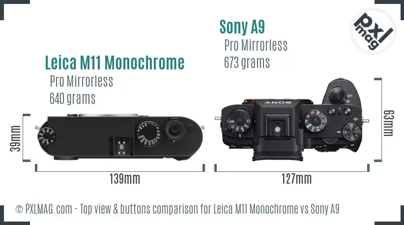 Leica M11 Monochrome vs Sony A9 top view buttons comparison