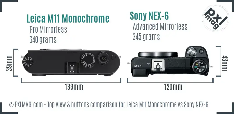 Leica M11 Monochrome vs Sony NEX-6 top view buttons comparison