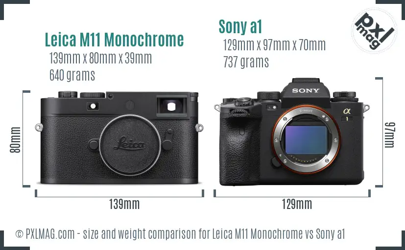 Leica M11 Monochrome vs Sony a1 size comparison Leica M11 Monochrome vs Sony a1 size comparison