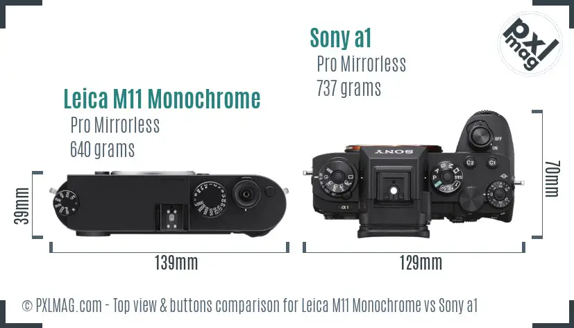 Leica M11 Monochrome vs Sony a1 top view buttons comparison Leica M11 Monochrome vs Sony a1 top view buttons comparison