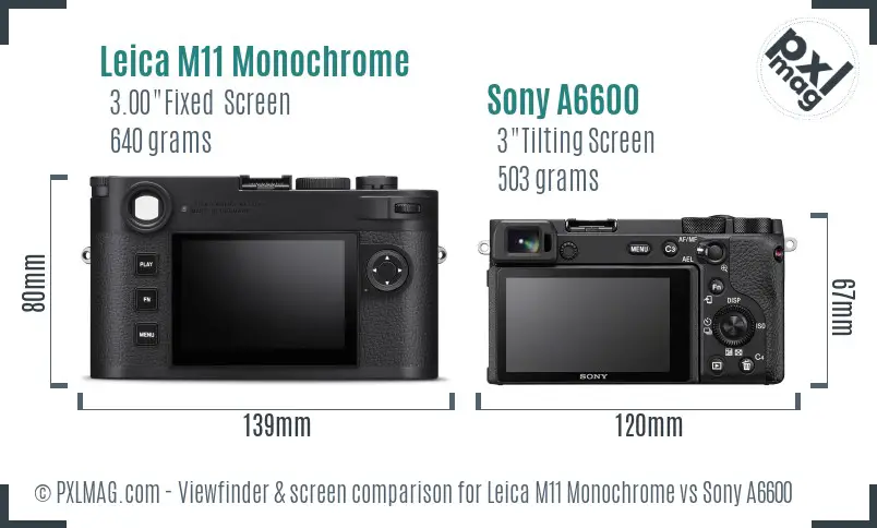 Leica M11 Monochrome vs Sony A6600 Screen and Viewfinder comparison