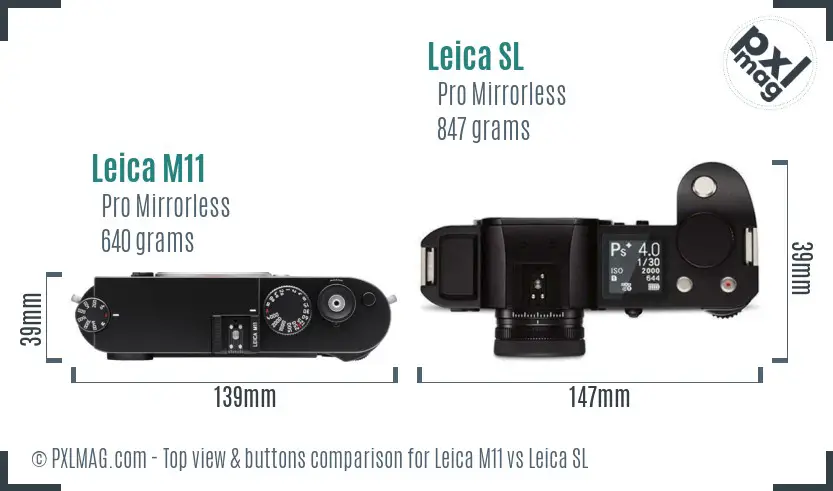 Leica M11 vs Leica SL top view buttons comparison