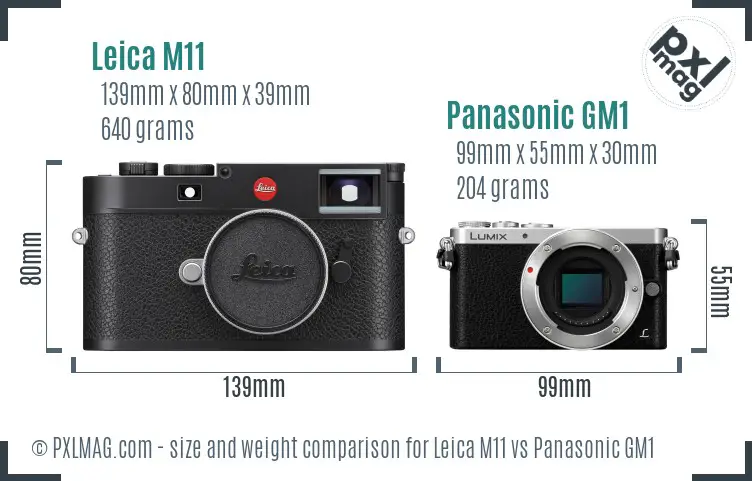 Leica M11 vs Panasonic GM1 size comparison